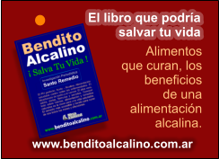 LIBRO BENDITO ALCALINO - MMS - BICARBONATO - ALIMENTOS ALCALINOS